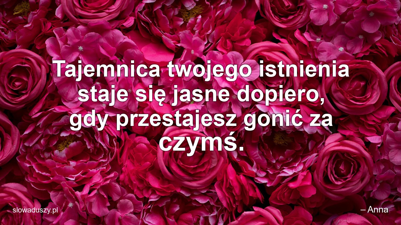 Tajemnica twojego istnienia staje się jasne dopiero,  gdy przestajesz gonić za czymś. - – Anna