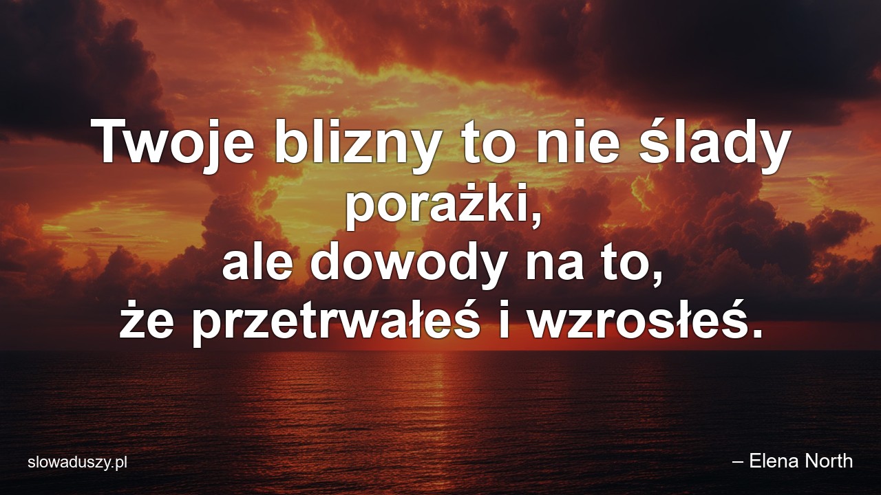 Twoje blizny to nie ślady porażki,  ale dowody na to,  że przetrwałeś i wzrosłeś. - – Elena North