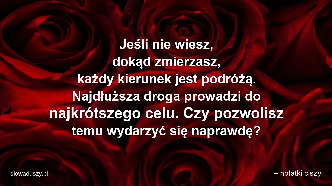 Jeśli nie wiesz,  dokąd zmierzasz,  każdy kierunek jest podróżą. Najdłuższa droga prowadzi do najkrótszego celu. Czy pozwolisz temu wydarzyć się naprawdę?