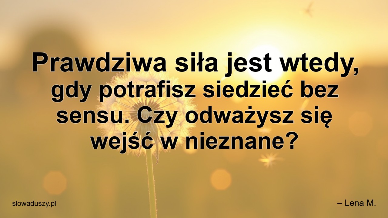 Prawdziwa siła jest wtedy,  gdy potrafisz siedzieć bez sensu. Czy odważysz się wejść w nieznane?