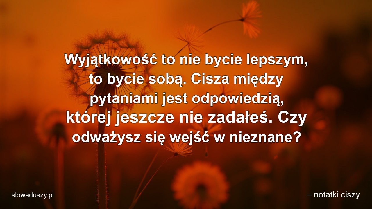 Wyjątkowość to nie bycie lepszym,  to bycie sobą. Cisza między pytaniami jest odpowiedzią,  której jeszcze nie zadałeś. Czy odważysz się wejść w nieznane? - – notatki ciszy