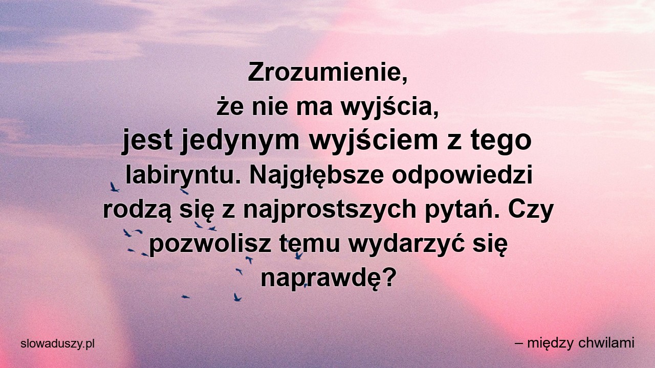 Zrozumienie,  że nie ma wyjścia,  jest jedynym wyjściem z tego labiryntu. Najgłębsze odpowiedzi rodzą się z najprostszych pytań. Czy pozwolisz temu wydarzyć się naprawdę? - – między chwilami