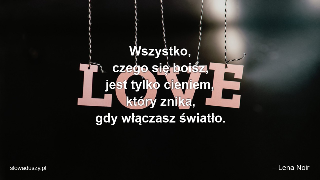 Wszystko,  czego się boisz,  jest tylko cieniem,  który znika,  gdy włączasz światło. - – Lena Noir