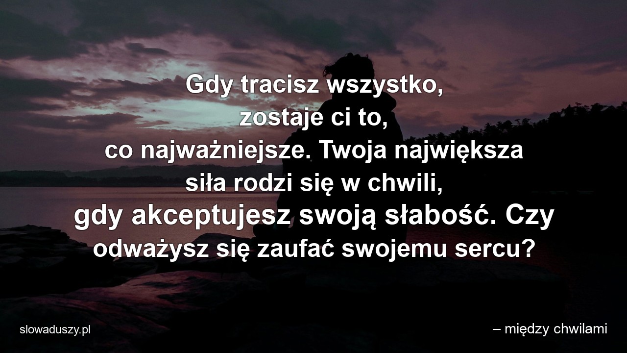 Gdy tracisz wszystko,  zostaje ci to,  co najważniejsze. Twoja największa siła rodzi się w chwili,  gdy akceptujesz swoją słabość. Czy odważysz się zaufać swojemu sercu? - – między chwilami