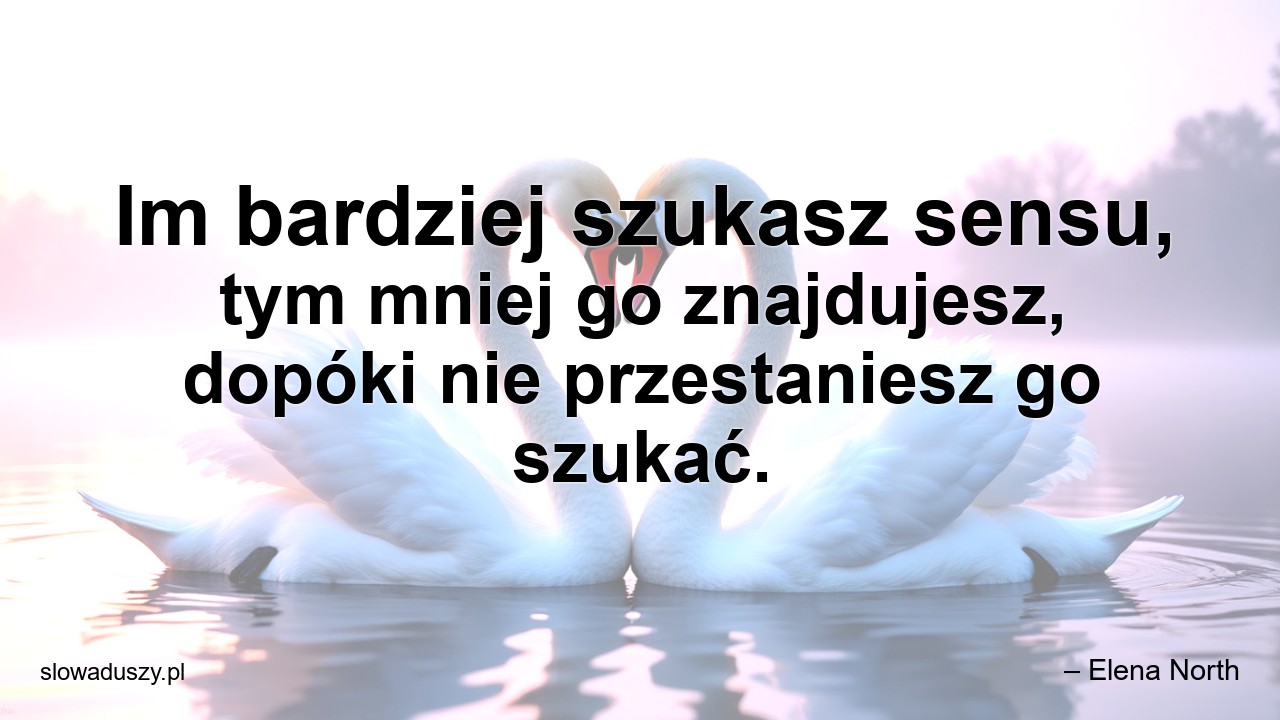 Im bardziej szukasz sensu,  tym mniej go znajdujesz,  dopóki nie przestaniesz go szukać. - – Elena North