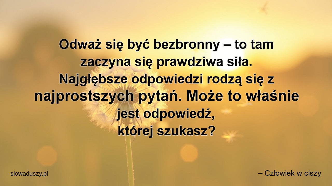 Odważ się być bezbronny – to tam zaczyna się prawdziwa siła. Najgłębsze odpowiedzi rodzą się z najprostszych pytań. Może to właśnie jest odpowiedź,  której szukasz? - – Człowiek w ciszy