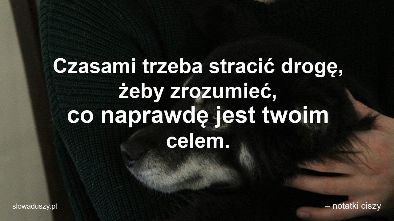 Czasami trzeba stracić drogę,  żeby zrozumieć,  co naprawdę jest twoim celem. - – notatki ciszy