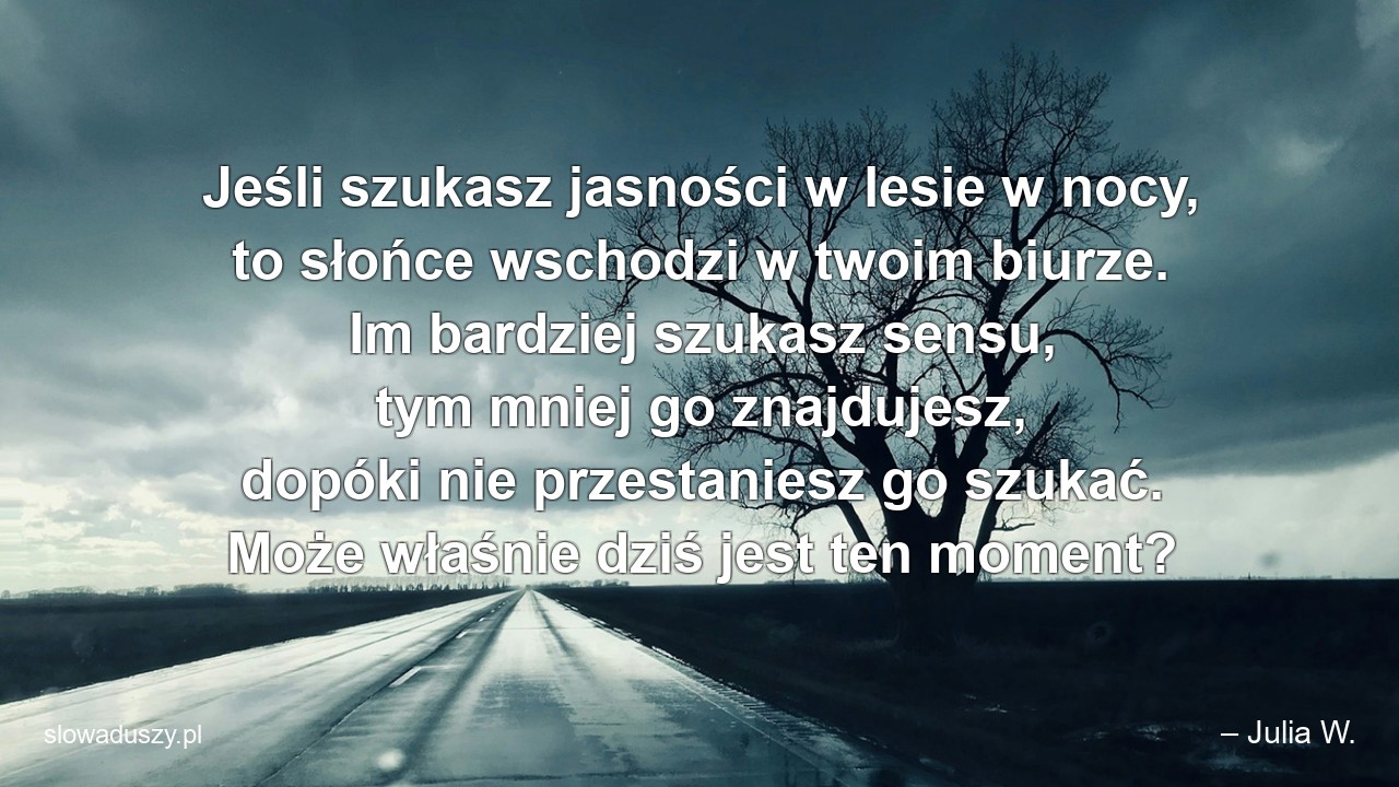 Jeśli szukasz jasności w lesie w nocy,  to słońce wschodzi w twoim biurze. Im bardziej szukasz sensu,  tym mniej go znajdujesz,  dopóki nie przestaniesz go szukać. Może właśnie dziś jest ten moment? - – Julia W.