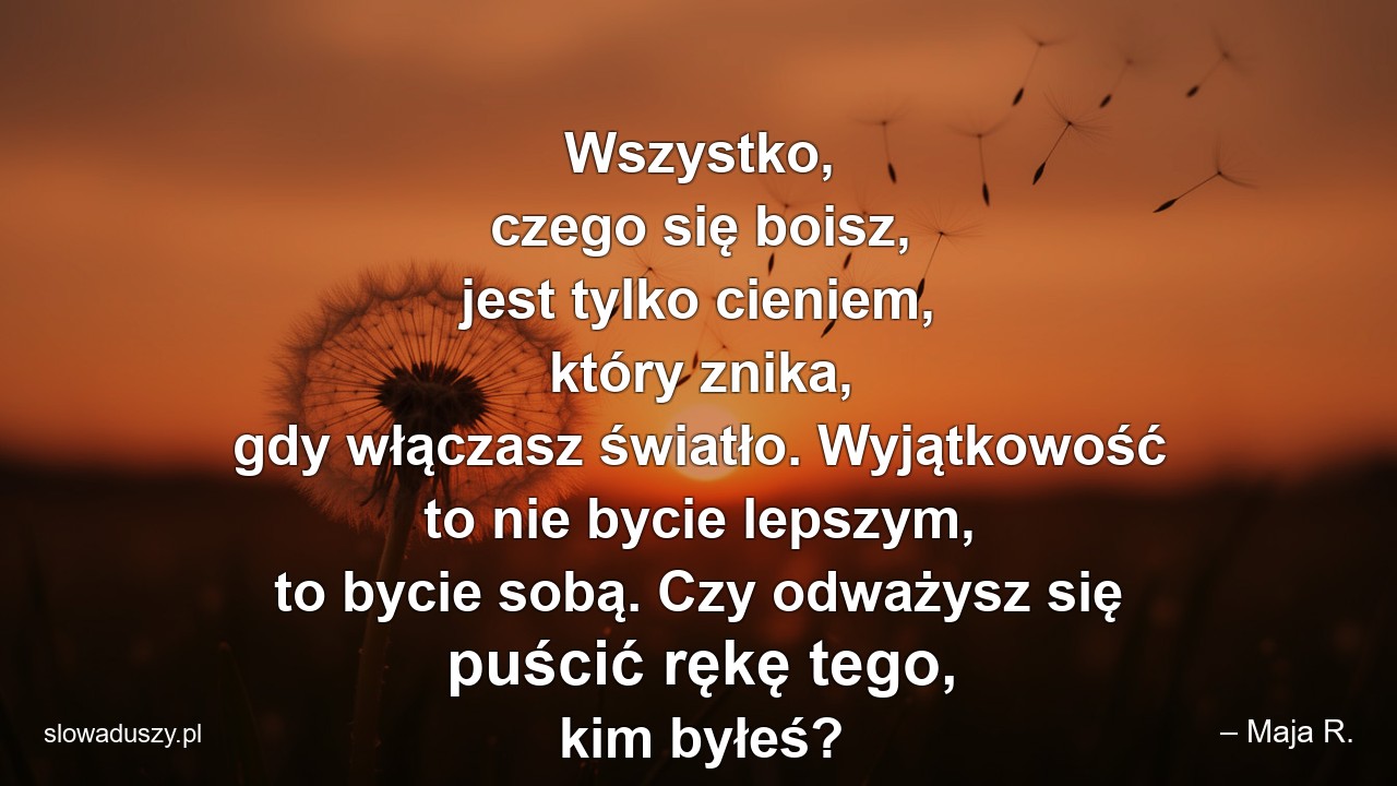 Wszystko,  czego się boisz,  jest tylko cieniem,  który znika,  gdy włączasz światło. Wyjątkowość to nie bycie lepszym,  to bycie sobą. Czy odważysz się puścić rękę tego,  kim byłeś?