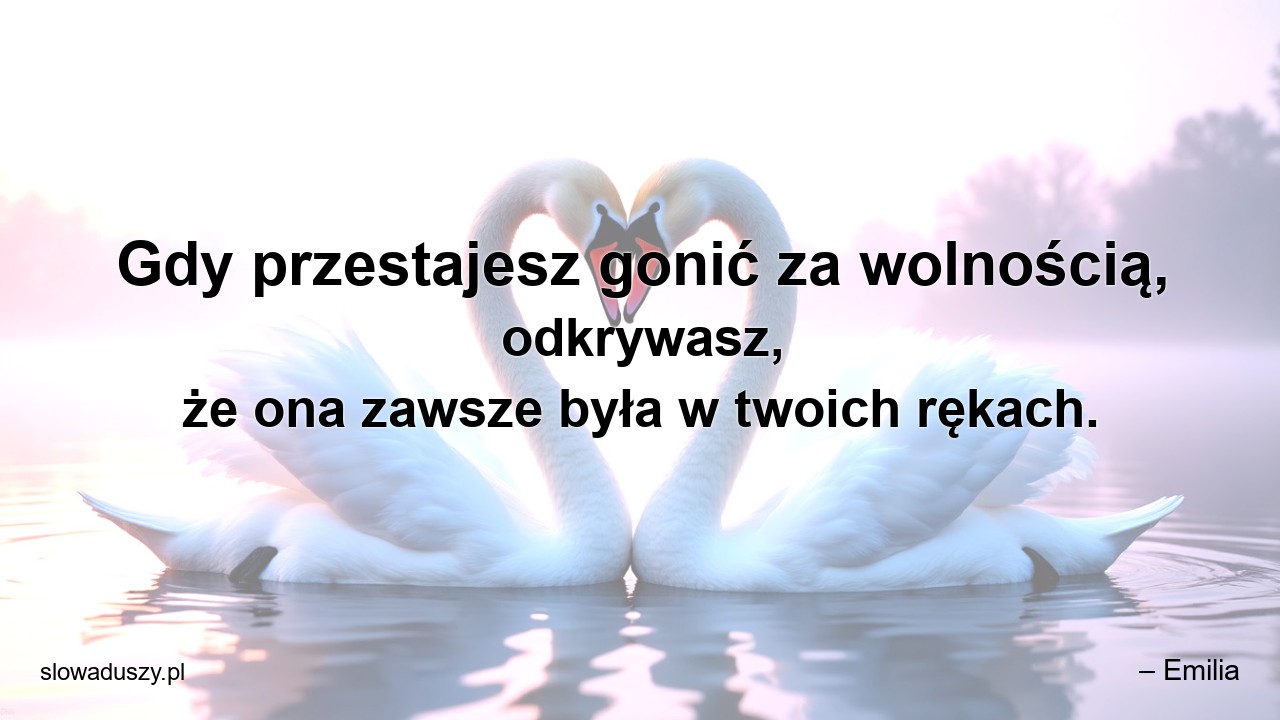 Gdy przestajesz gonić za wolnością,  odkrywasz,  że ona zawsze była w twoich rękach.