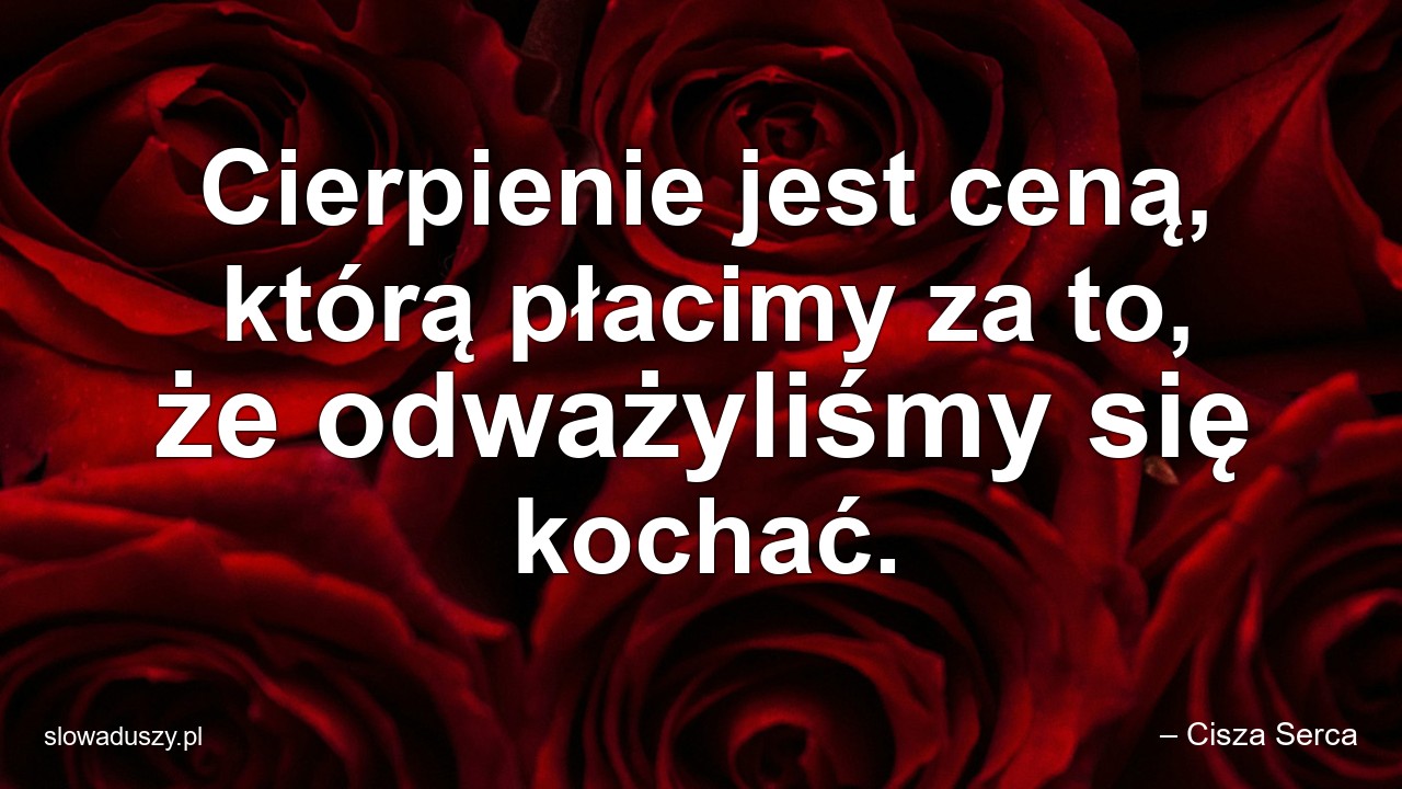 Cierpienie jest ceną,  którą płacimy za to,  że odważyliśmy się kochać.