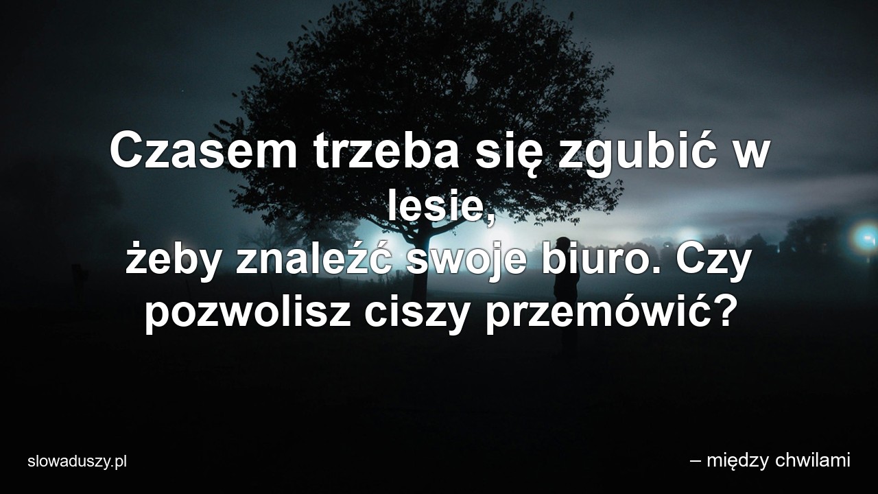 Czasem trzeba się zgubić w lesie,  żeby znaleźć swoje biuro. Czy pozwolisz ciszy przemówić? - – między chwilami