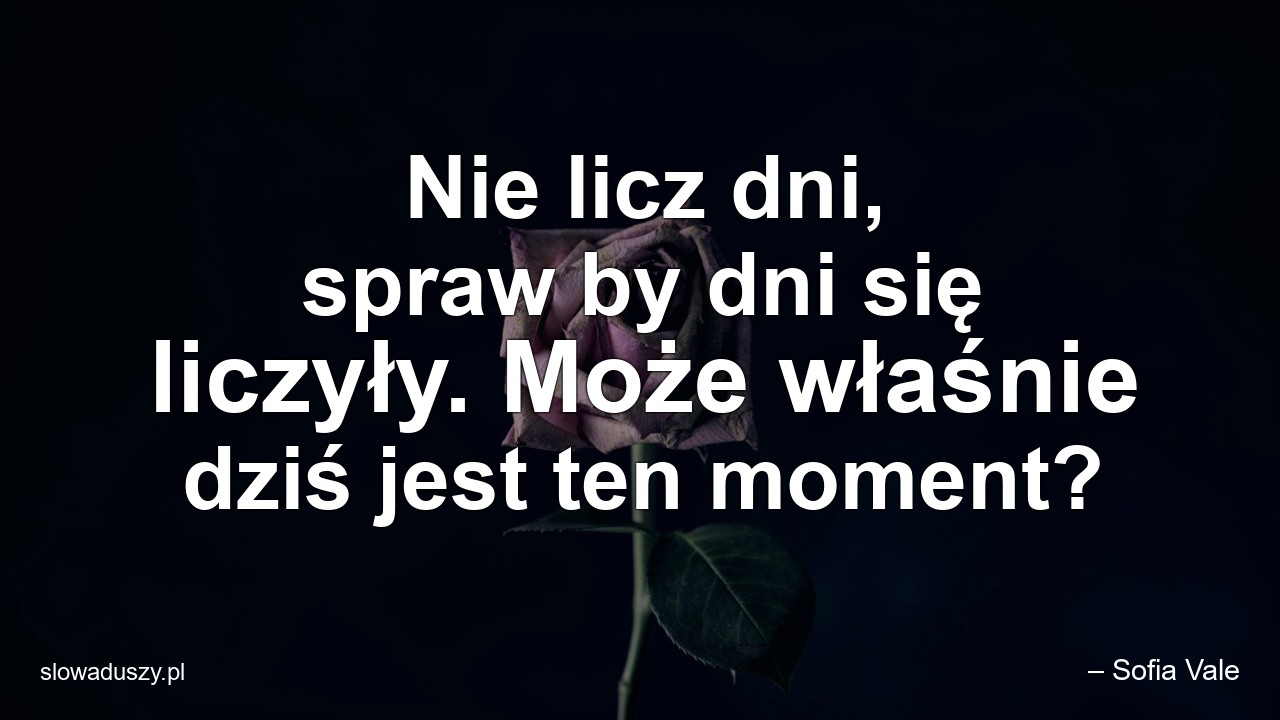 Nie licz dni,  spraw by dni się liczyły. Może właśnie dziś jest ten moment?