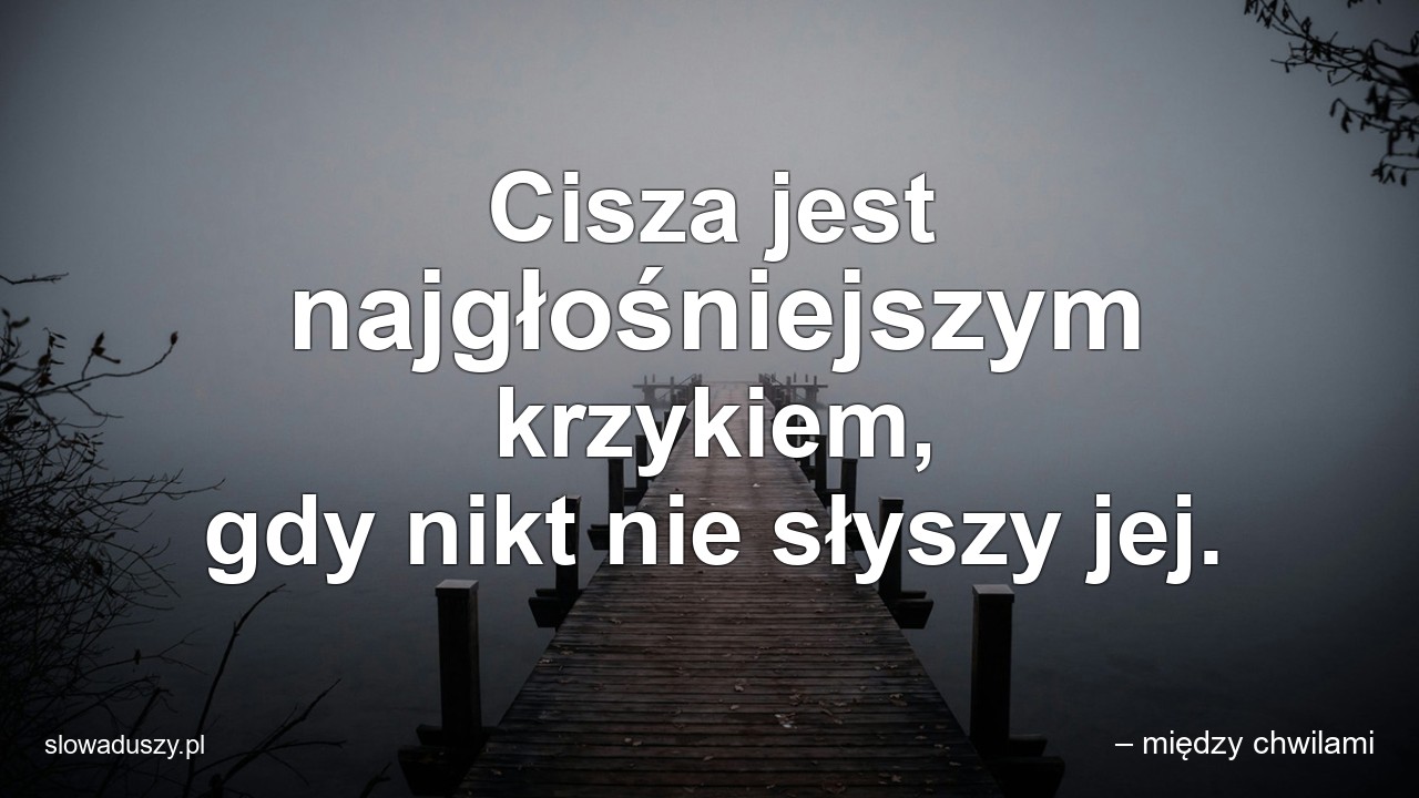 Cisza jest najgłośniejszym krzykiem,  gdy nikt nie słyszy jej.