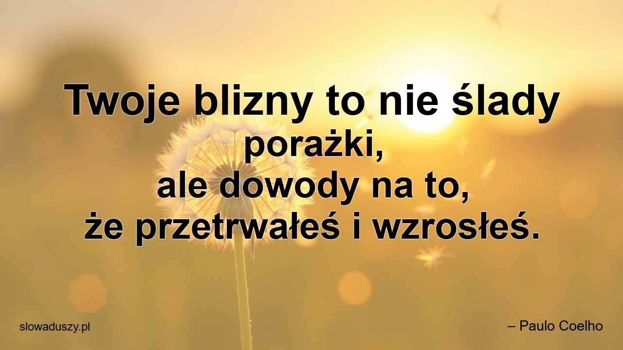 Twoje blizny to nie ślady porażki,  ale dowody na to,  że przetrwałeś i wzrosłeś. - – Paulo Coelho