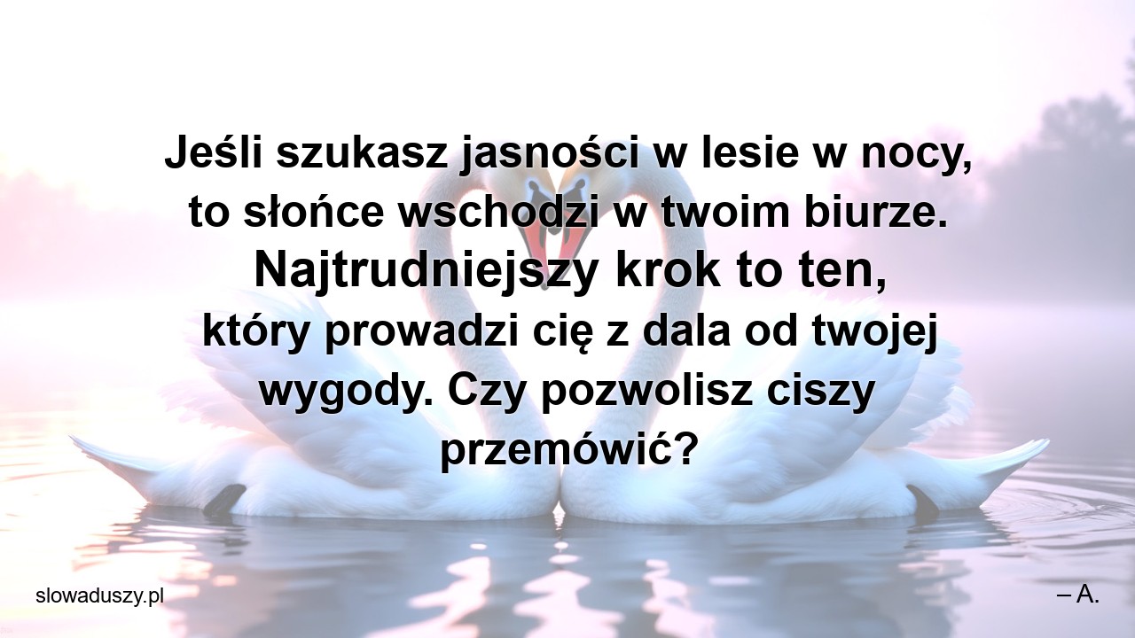 Jeśli szukasz jasności w lesie w nocy,  to słońce wschodzi w twoim biurze. Najtrudniejszy krok to ten,  który prowadzi cię z dala od twojej wygody. Czy pozwolisz ciszy przemówić?