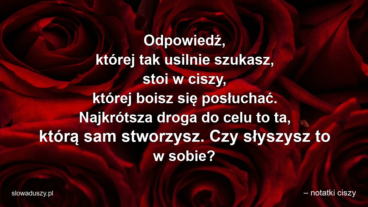 Odpowiedź,  której tak usilnie szukasz,  stoi w ciszy,  której boisz się posłuchać. Najkrótsza droga do celu to ta,  którą sam stworzysz. Czy słyszysz to w sobie? - – notatki ciszy