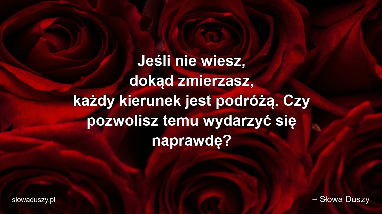 Jeśli nie wiesz,  dokąd zmierzasz,  każdy kierunek jest podróżą. Czy pozwolisz temu wydarzyć się naprawdę? - – Słowa Duszy