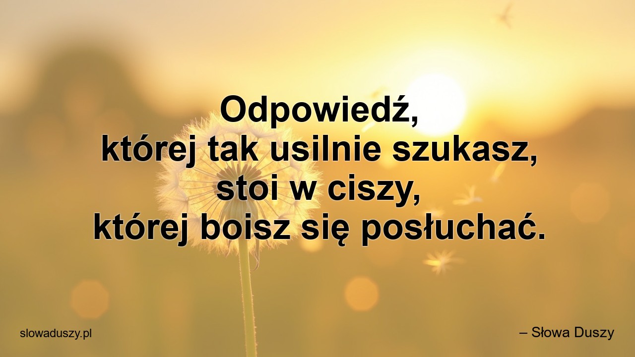 Odpowiedź,  której tak usilnie szukasz,  stoi w ciszy,  której boisz się posłuchać. - – Słowa Duszy