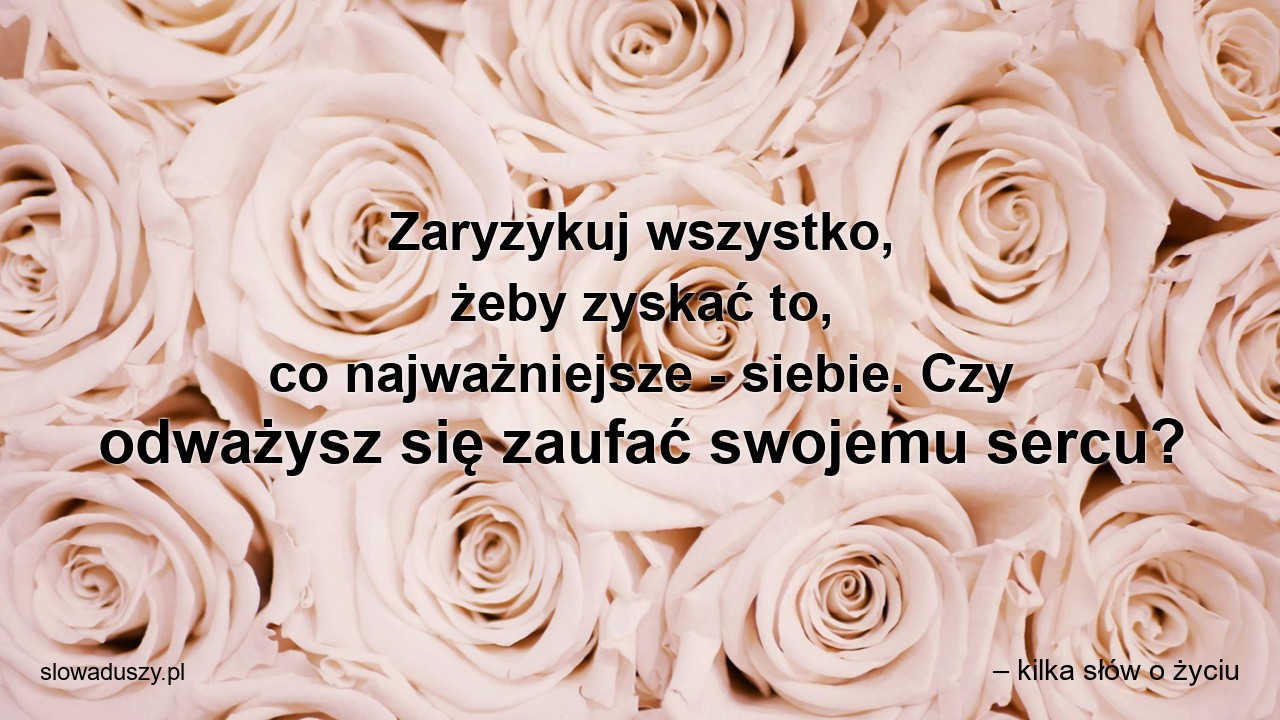 Zaryzykuj wszystko,  żeby zyskać to,  co najważniejsze - siebie. Czy odważysz się zaufać swojemu sercu? - – kilka słów o życiu