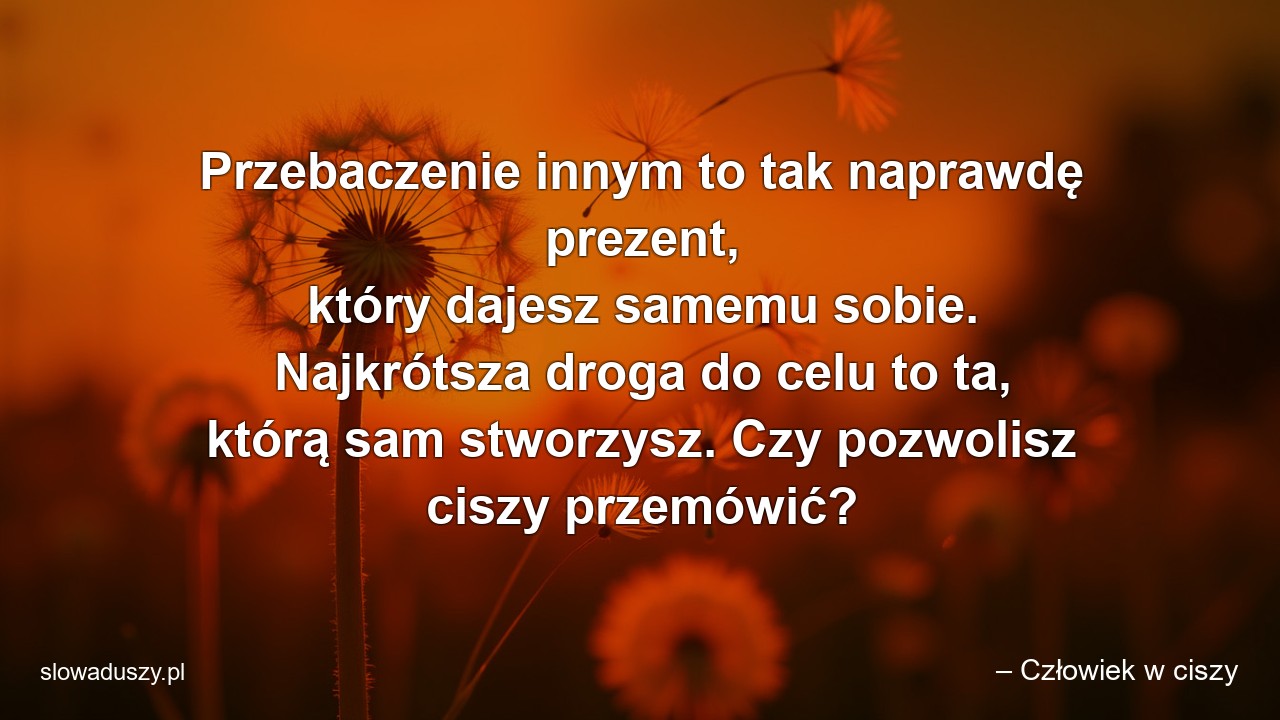 Przebaczenie innym to tak naprawdę prezent,  który dajesz samemu sobie. Najkrótsza droga do celu to ta,  którą sam stworzysz. Czy pozwolisz ciszy przemówić? - – Człowiek w ciszy