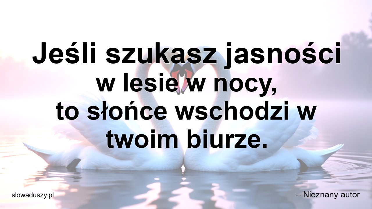 Jeśli szukasz jasności w lesie w nocy,  to słońce wschodzi w twoim biurze. - – Nieznany autor