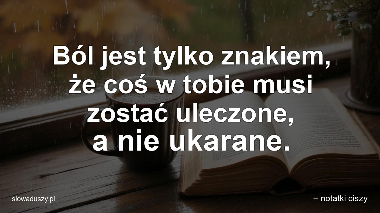 Ból jest tylko znakiem,  że coś w tobie musi zostać uleczone,  a nie ukarane. - – notatki ciszy