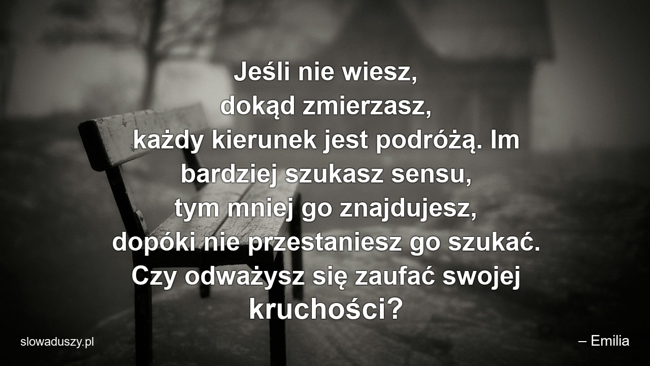 Jeśli nie wiesz,  dokąd zmierzasz,  każdy kierunek jest podróżą. Im bardziej szukasz sensu,  tym mniej go znajdujesz,  dopóki nie przestaniesz go szukać. Czy odważysz się zaufać swojej kruchości? - – Emilia