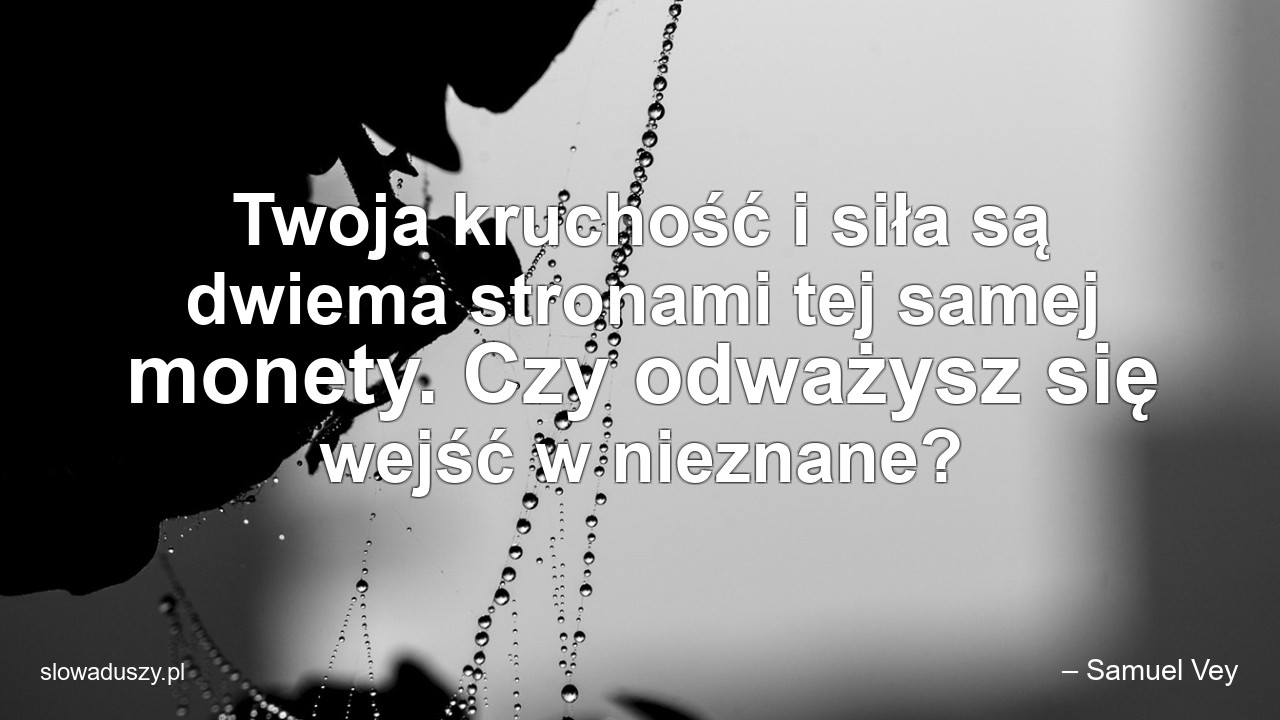 Twoja kruchość i siła są dwiema stronami tej samej monety. Czy odważysz się wejść w nieznane?