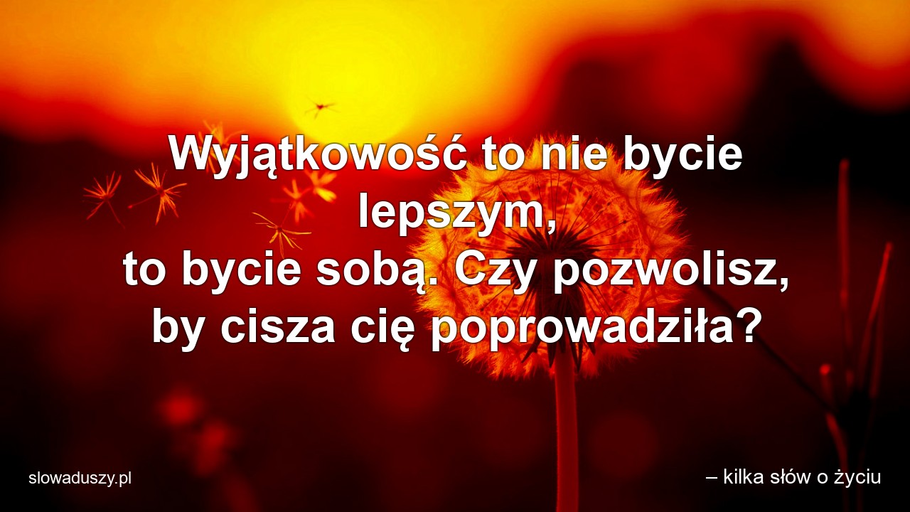 Wyjątkowość to nie bycie lepszym,  to bycie sobą. Czy pozwolisz,  by cisza cię poprowadziła?