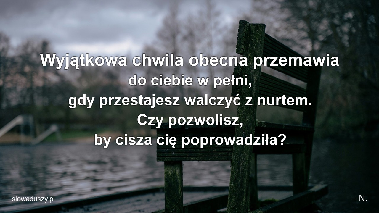 Wyjątkowa chwila obecna przemawia do ciebie w pełni,  gdy przestajesz walczyć z nurtem. Czy pozwolisz,  by cisza cię poprowadziła? - – N.