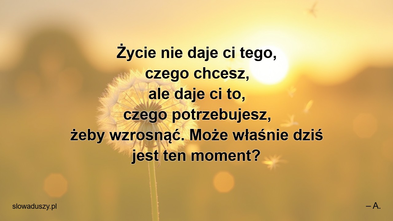 Życie nie daje ci tego,  czego chcesz,  ale daje ci to,  czego potrzebujesz,  żeby wzrosnąć. Może właśnie dziś jest ten moment?