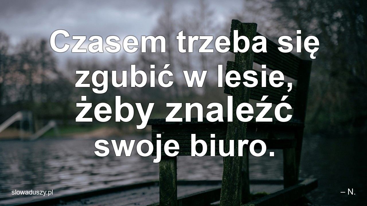 Czasem trzeba się zgubić w lesie,  żeby znaleźć swoje biuro.