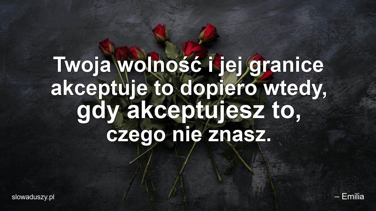 Twoja wolność i jej granice akceptuje to dopiero wtedy,  gdy akceptujesz to,  czego nie znasz.