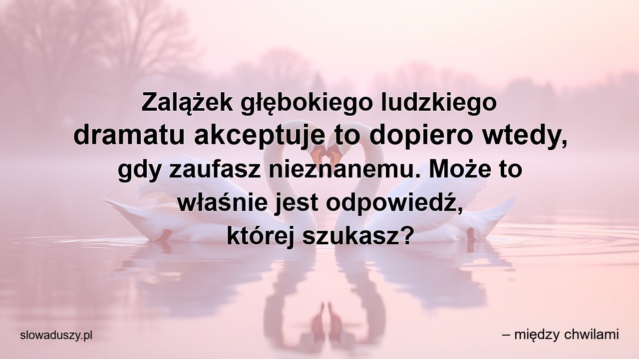 Zalążek głębokiego ludzkiego dramatu akceptuje to dopiero wtedy,  gdy zaufasz nieznanemu. Może to właśnie jest odpowiedź,  której szukasz?