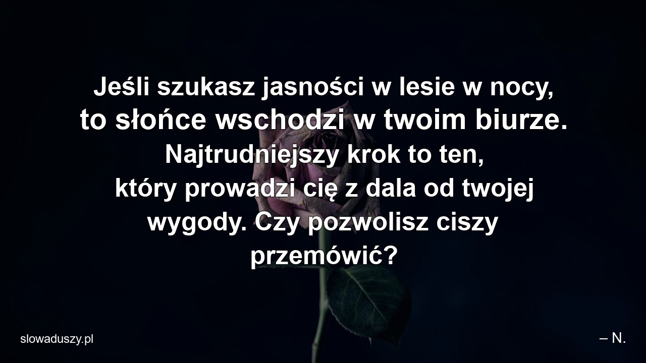 Jeśli szukasz jasności w lesie w nocy,  to słońce wschodzi w twoim biurze. Najtrudniejszy krok to ten,  który prowadzi cię z dala od twojej wygody. Czy pozwolisz ciszy przemówić?