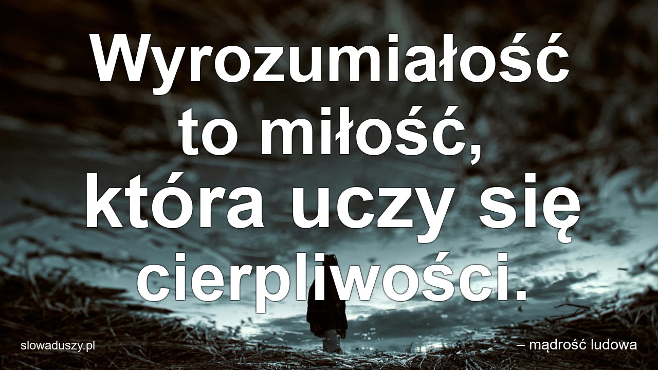 Wyrozumiałość to miłość,  która uczy się cierpliwości.