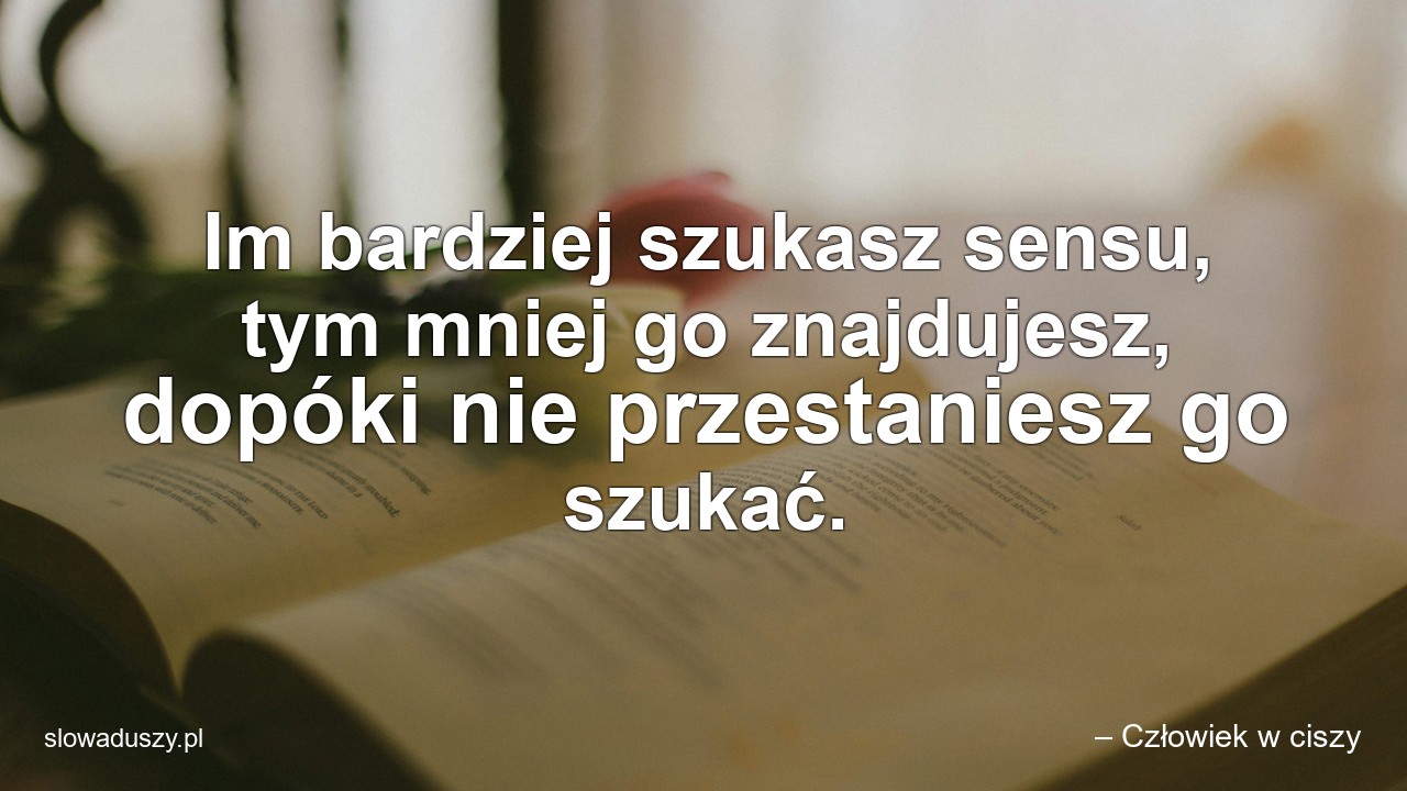 Im bardziej szukasz sensu,  tym mniej go znajdujesz,  dopóki nie przestaniesz go szukać.