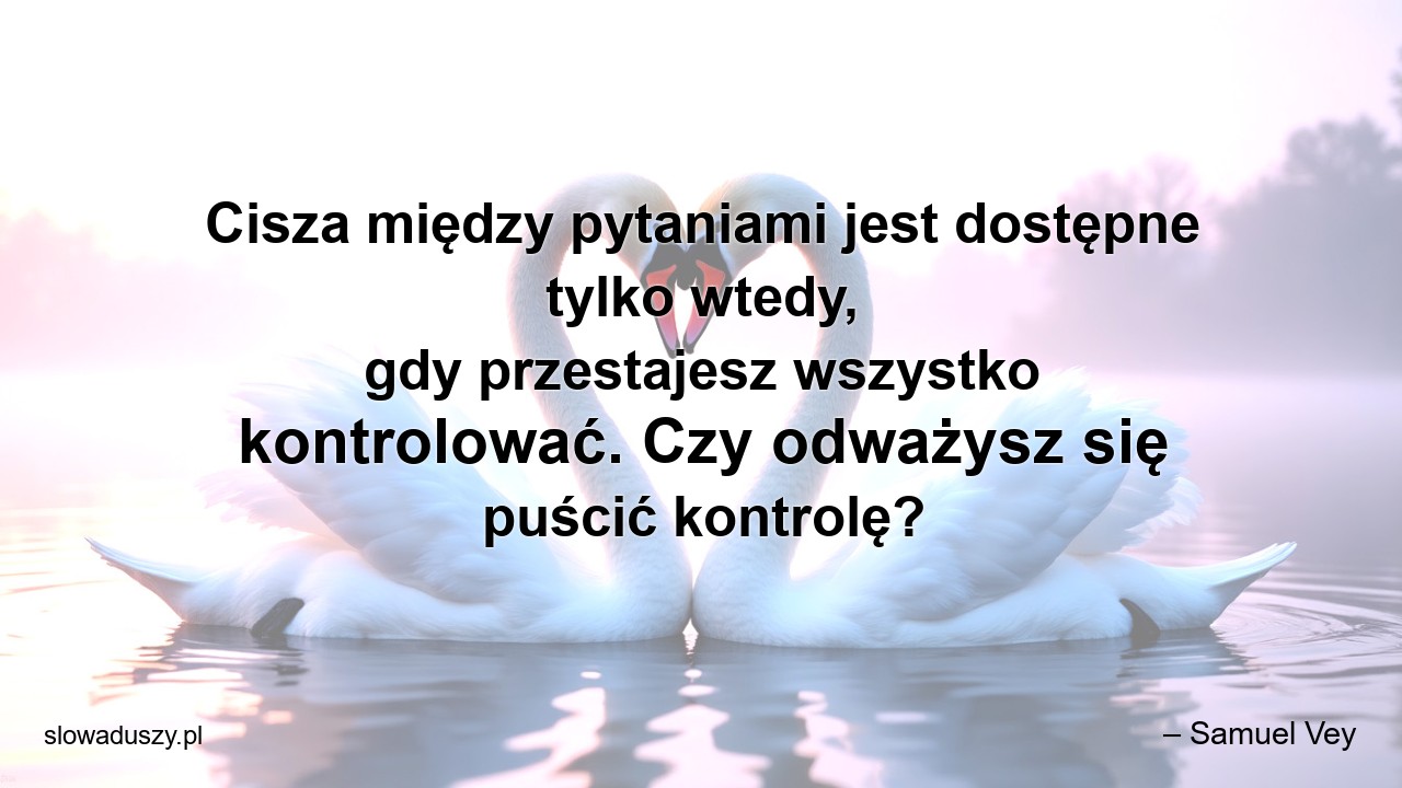 Cisza między pytaniami jest dostępne tylko wtedy,  gdy przestajesz wszystko kontrolować. Czy odważysz się puścić kontrolę?