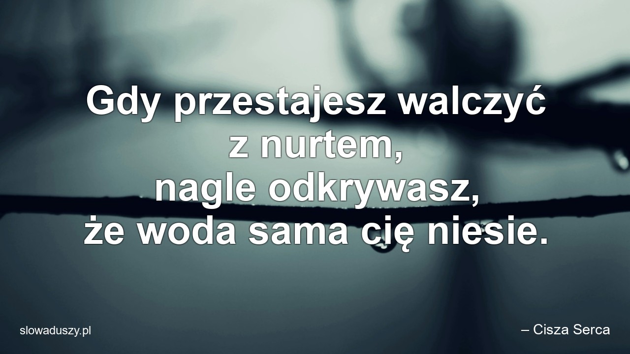 Gdy przestajesz walczyć z nurtem,  nagle odkrywasz,  że woda sama cię niesie. - – Cisza Serca