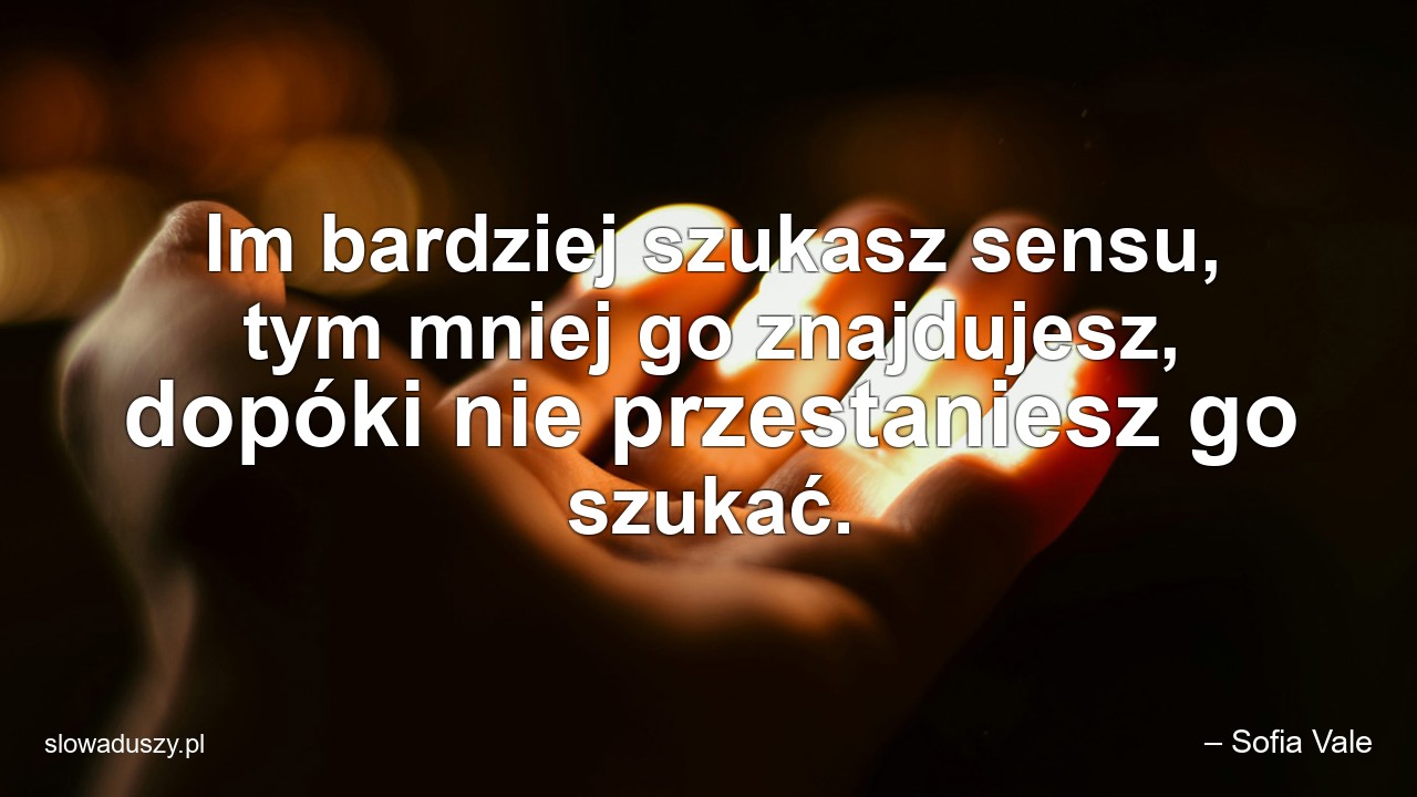 Im bardziej szukasz sensu,  tym mniej go znajdujesz,  dopóki nie przestaniesz go szukać.
