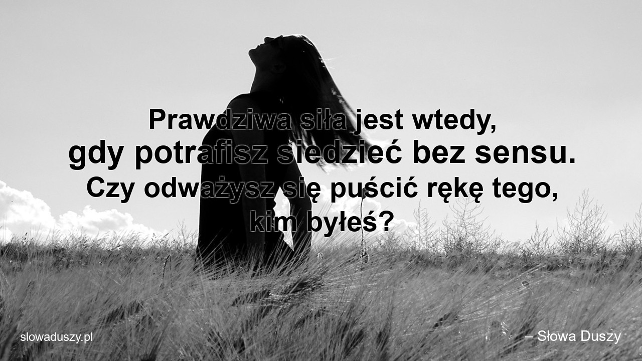 Prawdziwa siła jest wtedy,  gdy potrafisz siedzieć bez sensu. Czy odważysz się puścić rękę tego,  kim byłeś? - – Słowa Duszy
