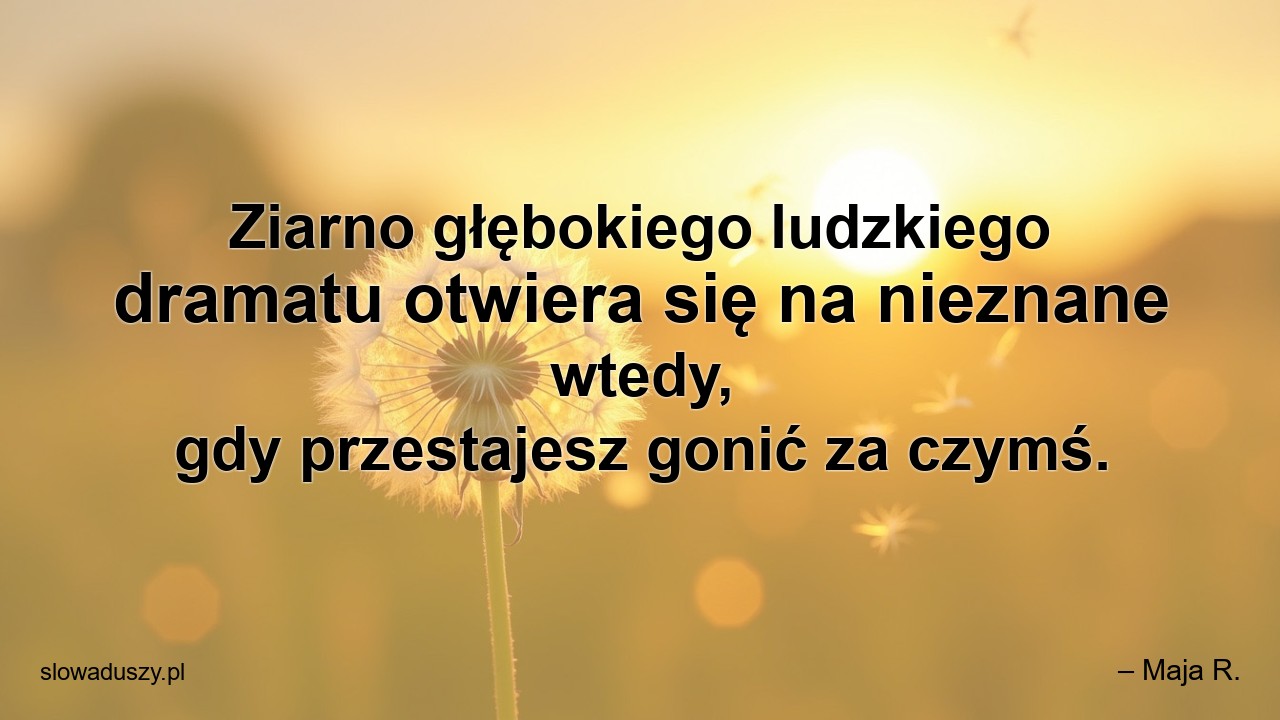 Ziarno głębokiego ludzkiego dramatu otwiera się na nieznane wtedy,  gdy przestajesz gonić za czymś.