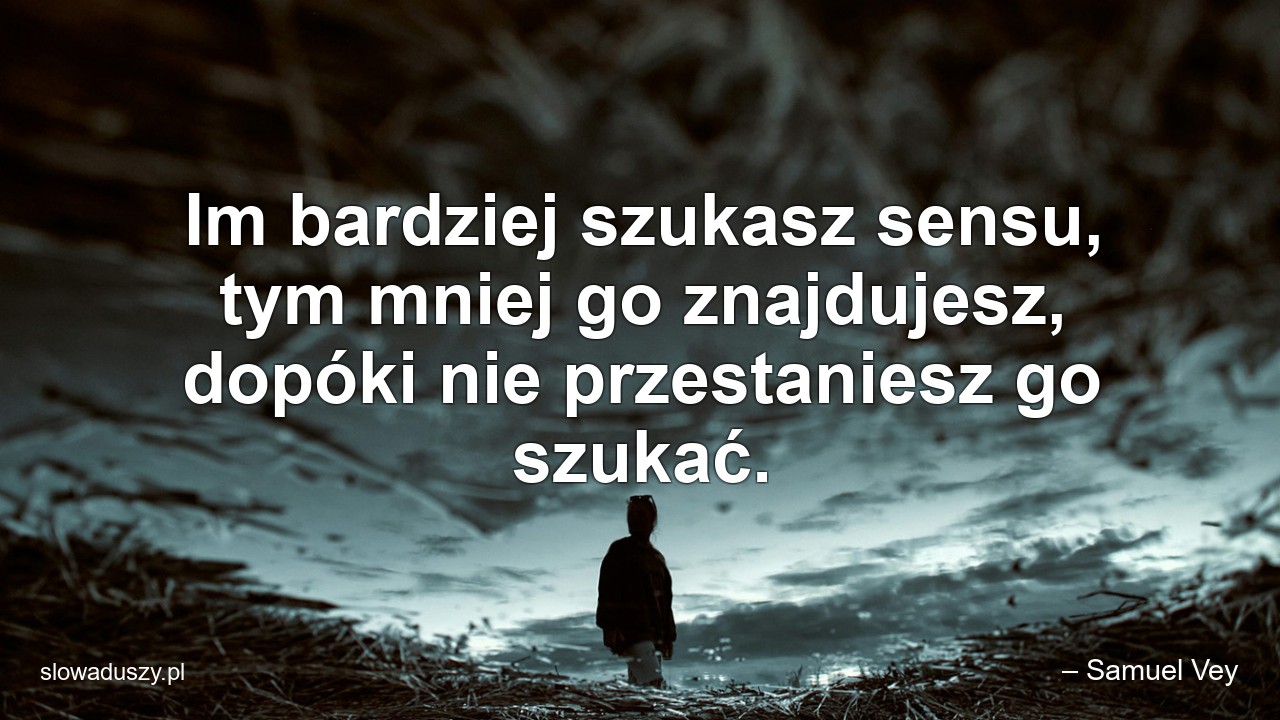Im bardziej szukasz sensu,  tym mniej go znajdujesz,  dopóki nie przestaniesz go szukać. - – Samuel Vey