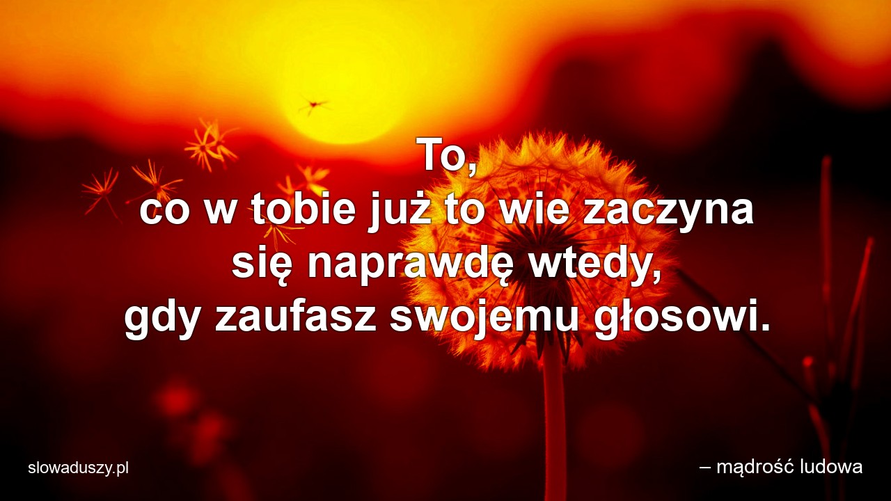 To,  co w tobie już to wie zaczyna się naprawdę wtedy,  gdy zaufasz swojemu głosowi. - – mądrość ludowa