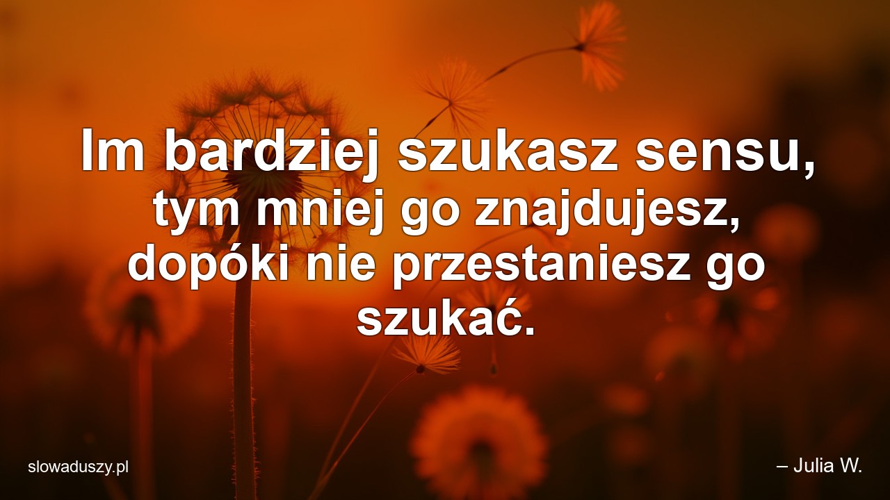 Im bardziej szukasz sensu,  tym mniej go znajdujesz,  dopóki nie przestaniesz go szukać. - – Julia W.