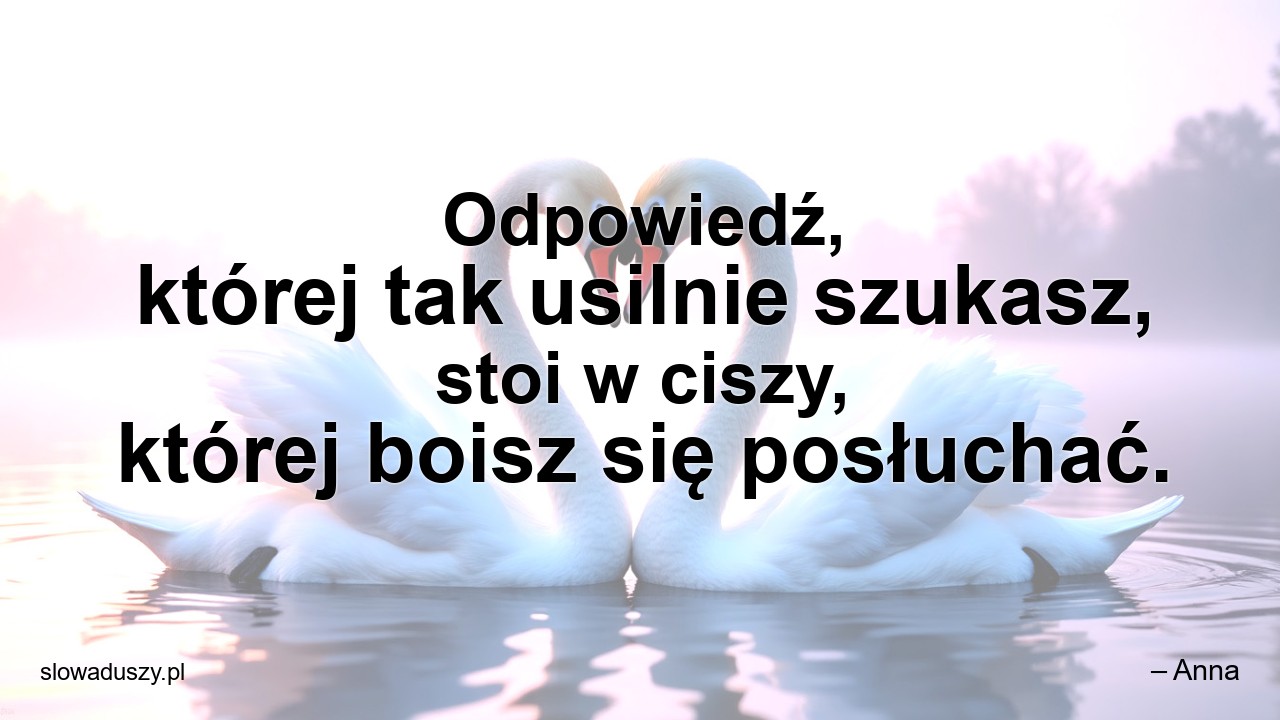 Odpowiedź,  której tak usilnie szukasz,  stoi w ciszy,  której boisz się posłuchać.