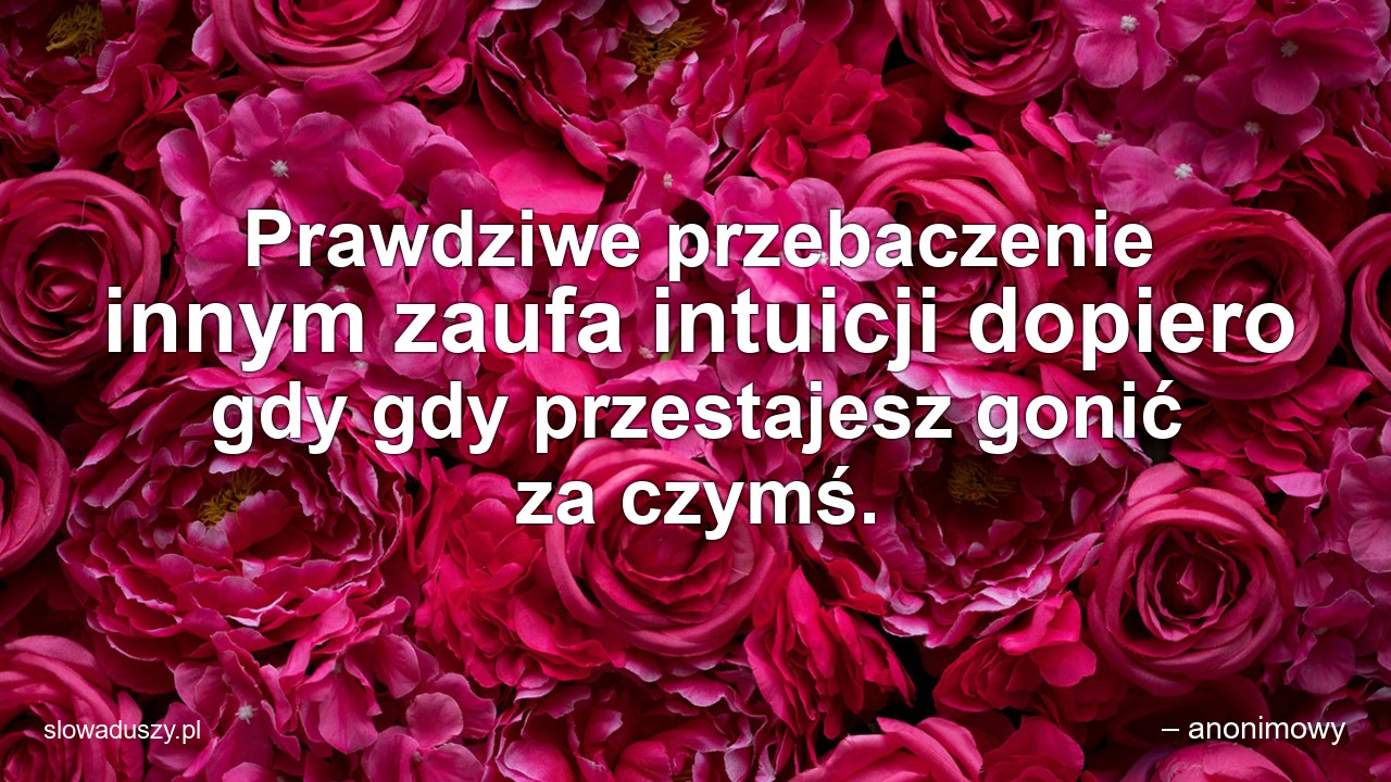 Prawdziwe przebaczenie innym zaufa intuicji dopiero gdy gdy przestajesz gonić za czymś. - – anonimowy