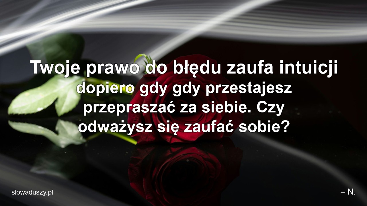 Twoje prawo do błędu zaufa intuicji dopiero gdy gdy przestajesz przepraszać za siebie. Czy odważysz się zaufać sobie?