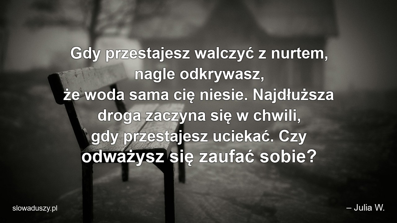 Gdy przestajesz walczyć z nurtem,  nagle odkrywasz,  że woda sama cię niesie. Najdłuższa droga zaczyna się w chwili,  gdy przestajesz uciekać. Czy odważysz się zaufać sobie? - – Julia W.